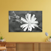 Chicory Wildflower Canvas Afdruk (Insitu (Woonkamer))