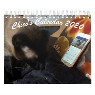 Chico's kalender 2020