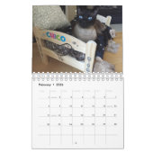 Chico's kalender 2020 (Feb 2026)