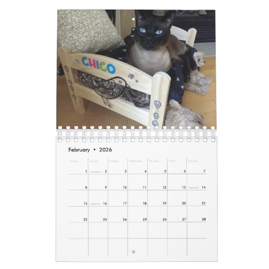 Chico's kalender 2020 (Feb 2026)