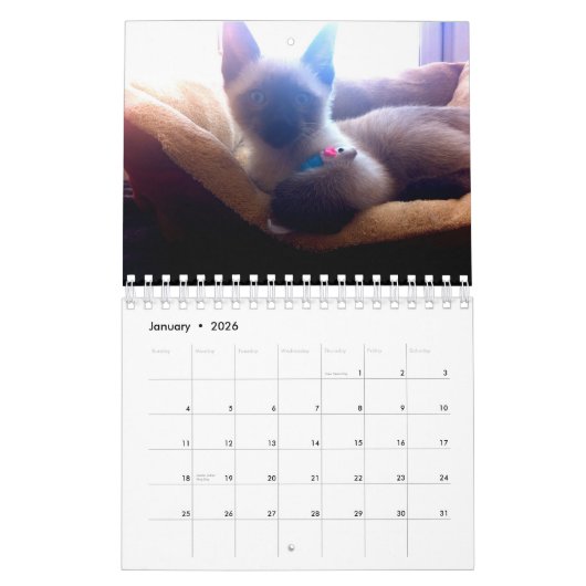 Chico's kalender 2020 (Jan 2026)
