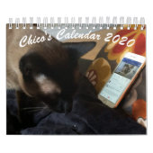 Chico's kalender 2020 (Hoes)