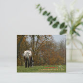 Chief - Appaloosa in beweging Prancer Briefkaart (Staand voorkant)