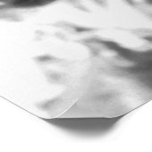 Chief — Apsaroke: 1908 Poster (Hoek)