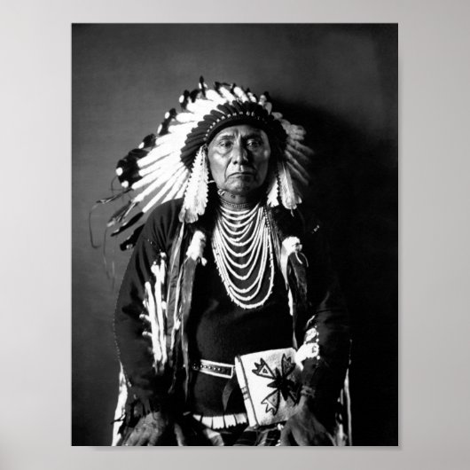 Chief Joseph - Nez Perce Chief - Circa 1900 Poster (Voorkant)
