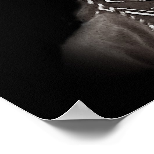 Chief Joseph van de Nez Perce American indian Poster (Hoek)