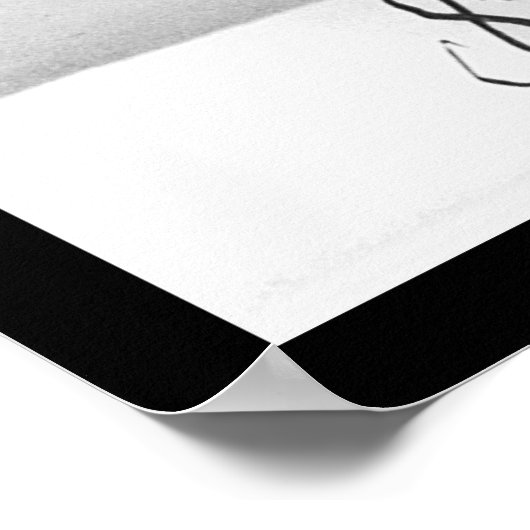 Chief Sitting Bull 1889 Poster (Hoek)