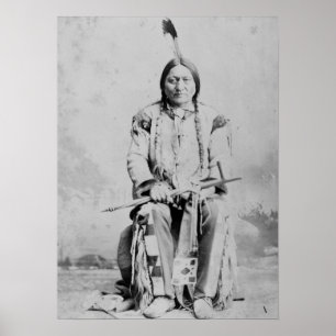 Chief Sitting Bull Native American Poster