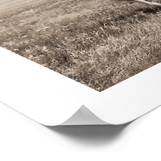 Chiefs van Piegan Blackfoot Poster (Hoek)