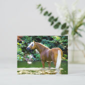 "Chieftain Cools Off" Briefkaart (Staand voorkant)