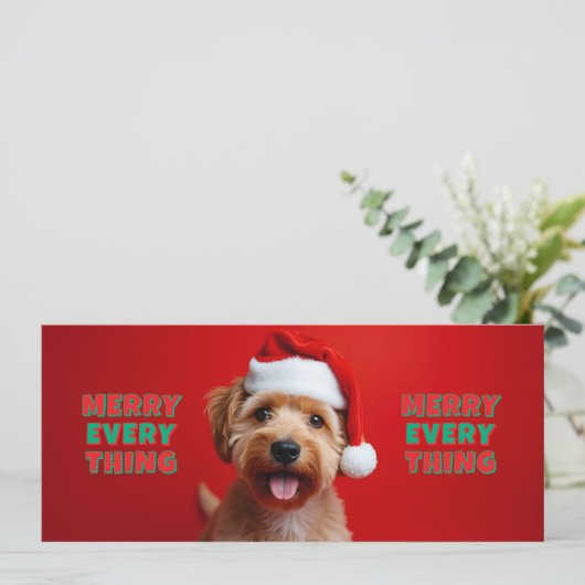 Chien fun - Merry Every Thing (Staand voorkant)