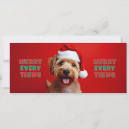 Chien fun - Merry Every Thing