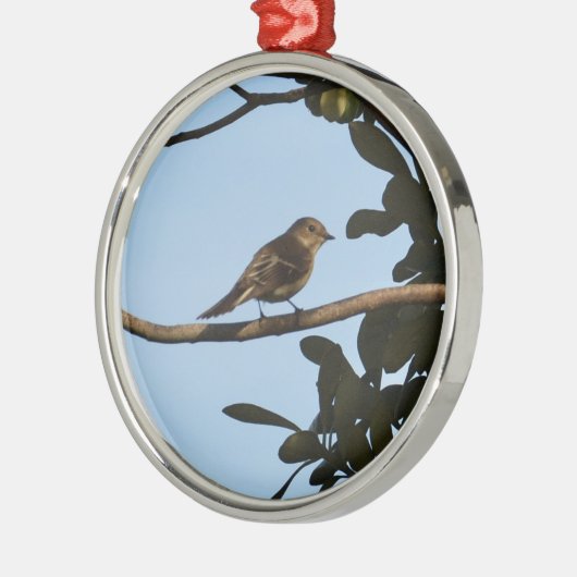Chiffchaff Metalen Ornament (Links)