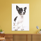 Chihua puppy staat op wit weefsel canvas afdruk (Insitu (Woonkamer))