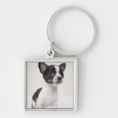 Chihua puppy staat op wit weefsel sleutelhanger (Voorkant)