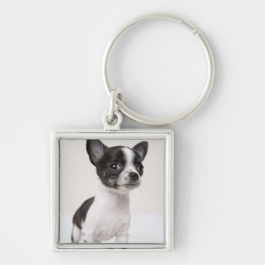Chihua puppy staat op wit weefsel sleutelhanger (Voorkant)