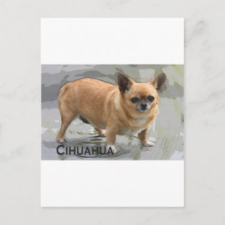 Chihuahuaх уワиチワ, Briefkaart