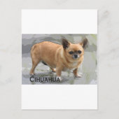 Chihuahuaх уワиチワ, Briefkaart (Voorkant)