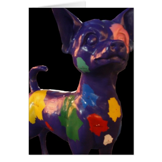 chihuahua (Voorkant)
