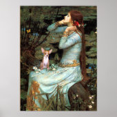 Chihuahua 1 - Ophelia Seated Poster (Voorkant)