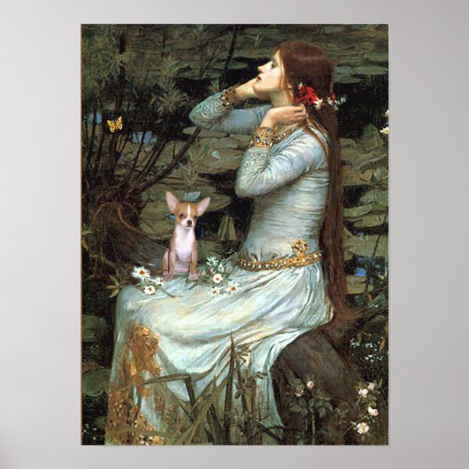 Chihuahua 1 - Ophelia Zittend Poster (Voorkant)