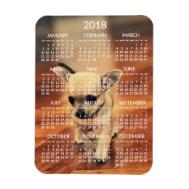 Chihuahua 2018 Calendar Photo Magnet 3x4 Small Magneet