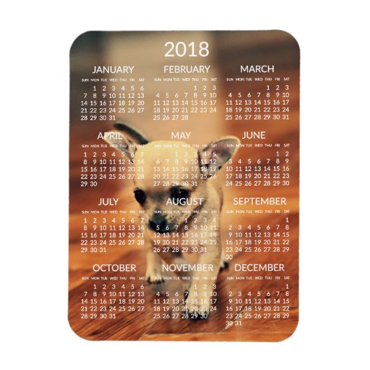 Chihuahua 2018 Calendar Photo Magnet 3x4 Small Magneet (Verticaal)
