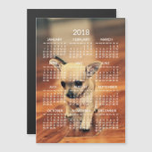 Chihuahua 2018 Calendar Photo Magnetic Kaart 5x7 (Voorkant / Achterkant)