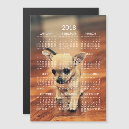 Chihuahua 2018 Calendar Photo Magnetic Kaart 5x7 (Voorkant / Achterkant)