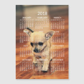 Chihuahua 2018 Calendar Photo Magnetic Kaart 5x7 (Voorkant)