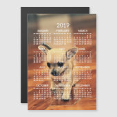 Chihuahua 2019 Calendar Photo Magnetic Kaart 5x7 (Voorkant / Achterkant)