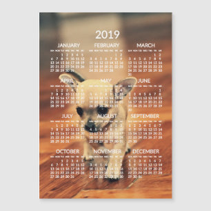 Chihuahua 2019 Calendar Photo Magnetic Kaart 5x7