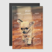 Chihuahua 2020 kalender foto magnetische kaart 5x7 (Voorkant / Achterkant)