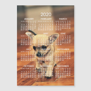 Chihuahua 2020 kalender foto magnetische kaart 5x7