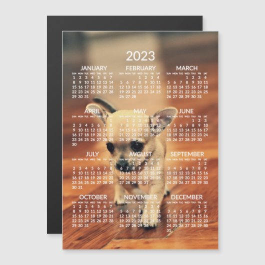 Chihuahua 2023 Agenda Foto Magnetische Kaart (Voorkant / Achterkant)