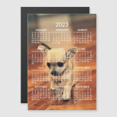 Chihuahua 2023 Calendar Photo Magnetic Card (Voorkant / Achterkant)