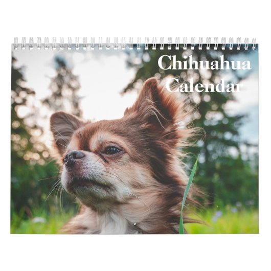 Chihuahua 2025 kalender (Hoes)