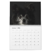 Chihuahua 2025 kalender (Jan 2026)