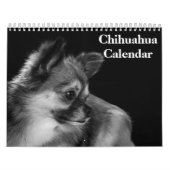 Chihuahua 2025 kalender (Hoes)