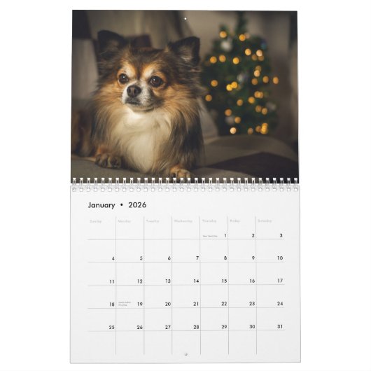 Chihuahua 2025 kalender (Jan 2026)