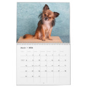 Chihuahua 2025 kalender (Mar 2026)