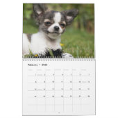 Chihuahua 2025 kalender (Feb 2026)