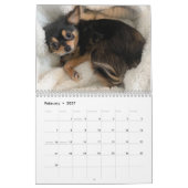 Chihuahua 2027 kalender (Feb 2027)