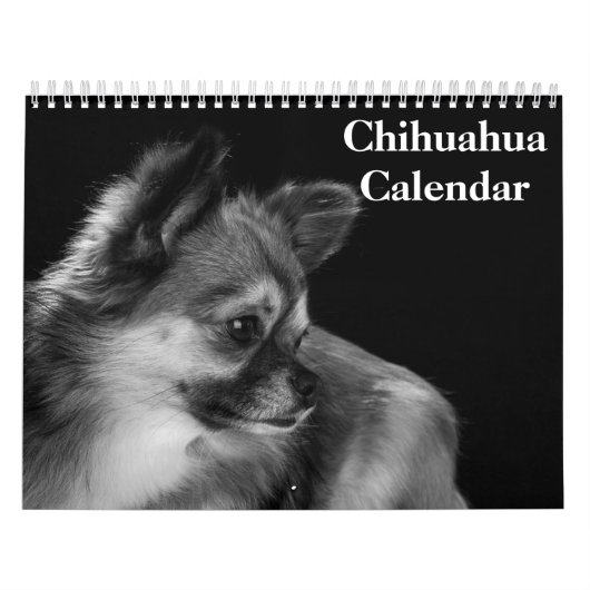 Chihuahua 2027 kalender (Hoes)