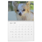 Chihuahua 2027 kalender (Mar 2027)