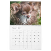 Chihuahua 2027 kalender (Feb 2027)