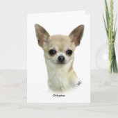 Chihuahua 9P93D-123_2 Kaart (Voorkant)