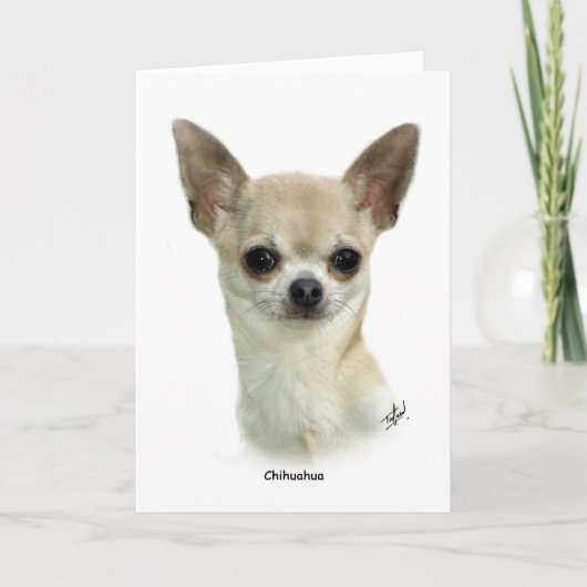 Chihuahua 9P93D-123_2 Kaart (Voorkant)