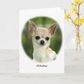 Chihuahua 9P93D-123 Kaart (Gele Bloem)