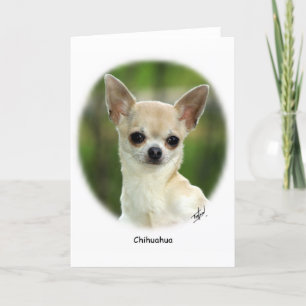 Chihuahua 9P93D-123 Kaart